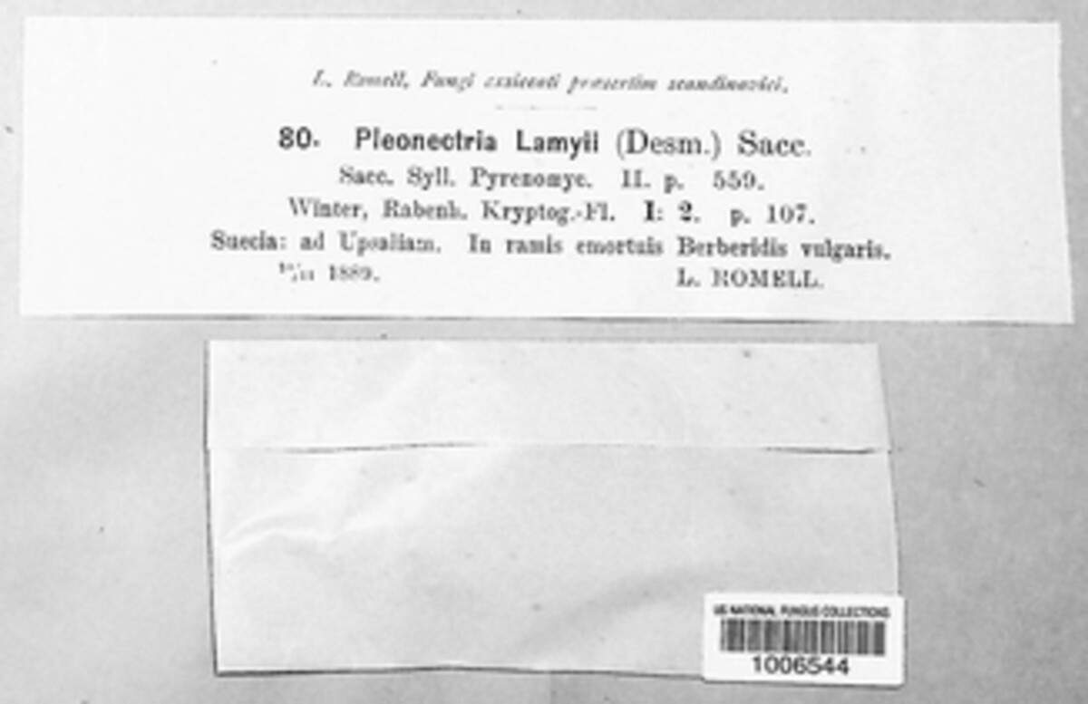 Pleonectria lamyii image